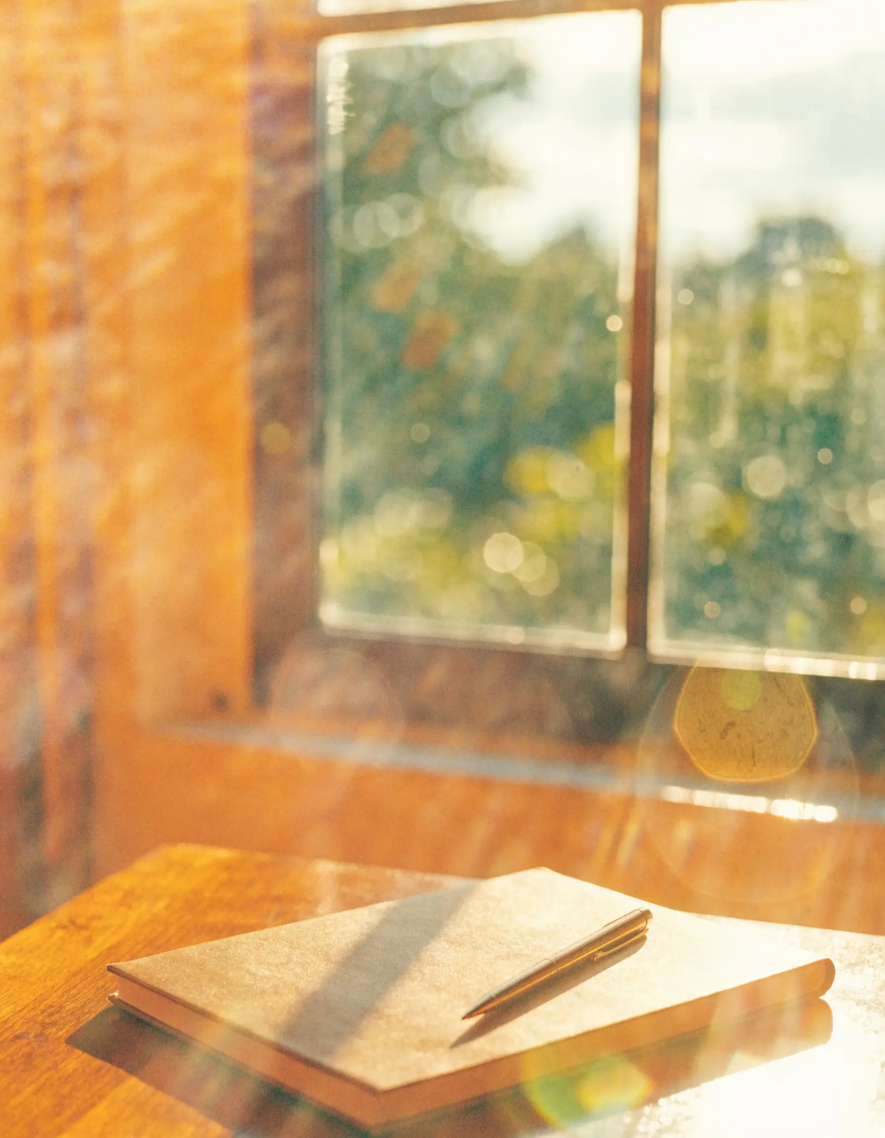 A quiet room with late afternoon light on the table